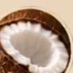 VCO (Virgin Coconut Oil)
